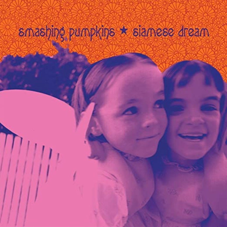 Image result for siamese dream